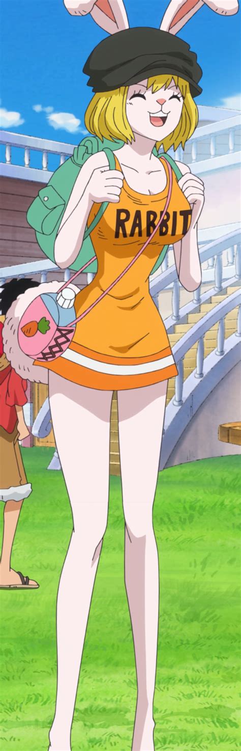 carrot one piece sex|Videos Tagged with carrot (one piece) .